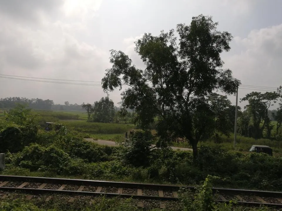 IMG_20191003_092529.jpg