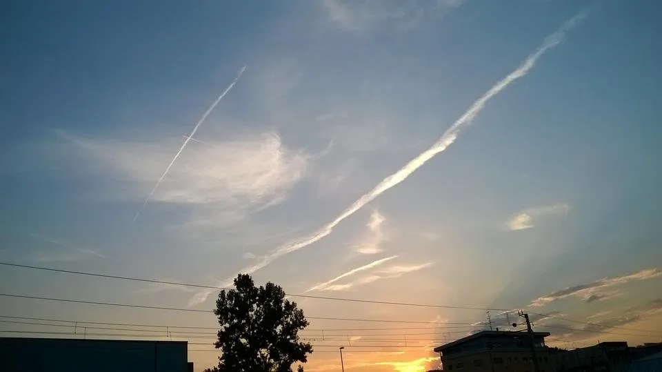 WP_20180822_036.jpg