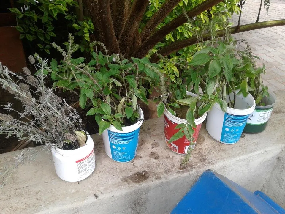 20190130_140337.jpg
