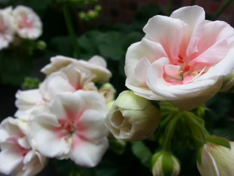 20140413_122400.jpg