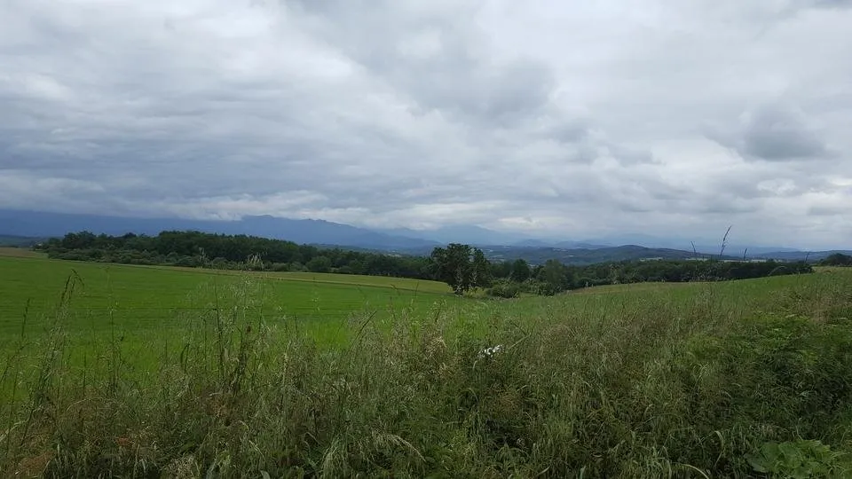 20160611_135039.jpg