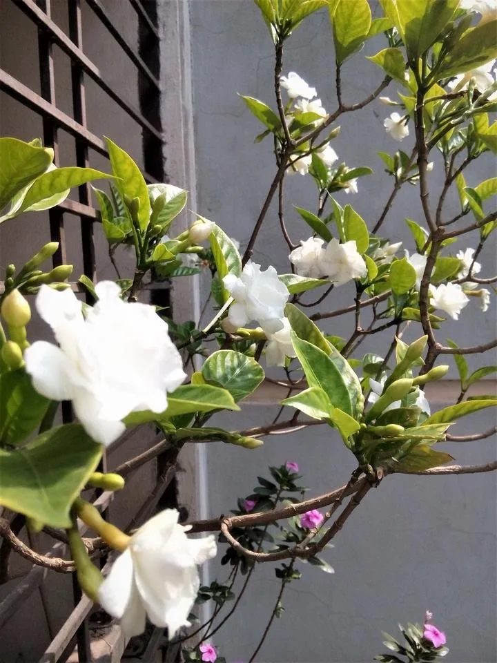 IMG_20190312_104338.jpg
