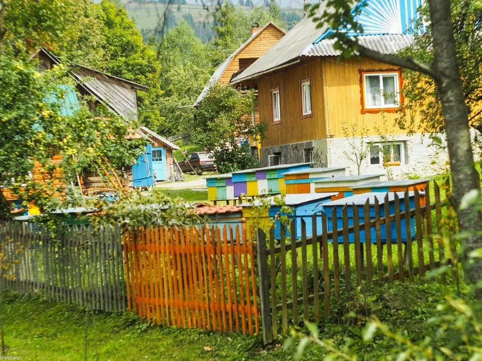 colorful apiary 1.jpg