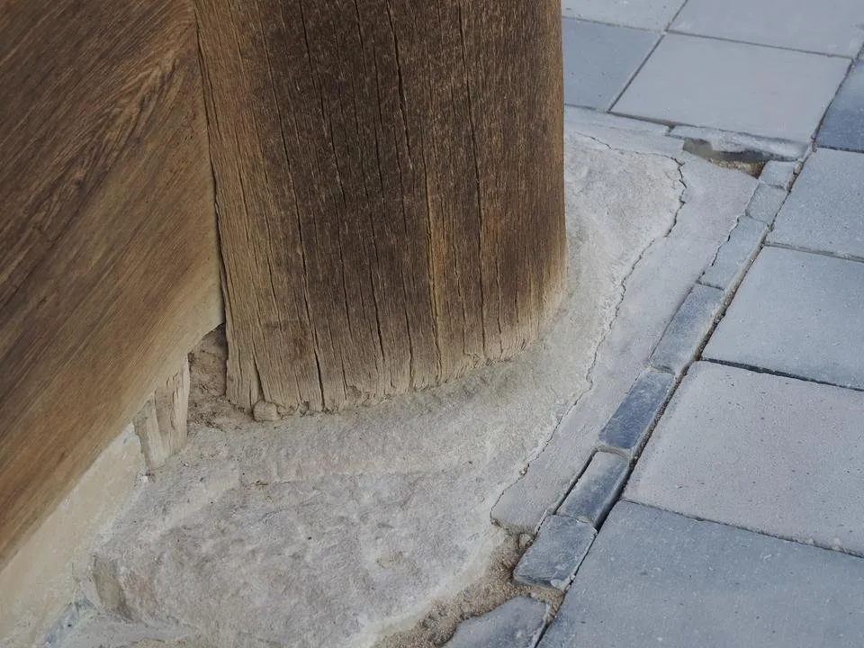 _7150472.JPG