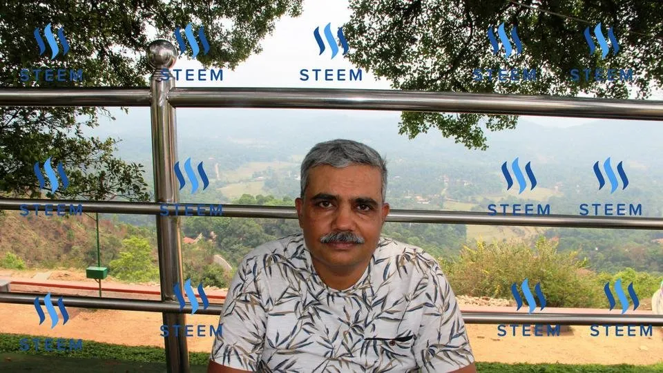 i year on steem.jpg