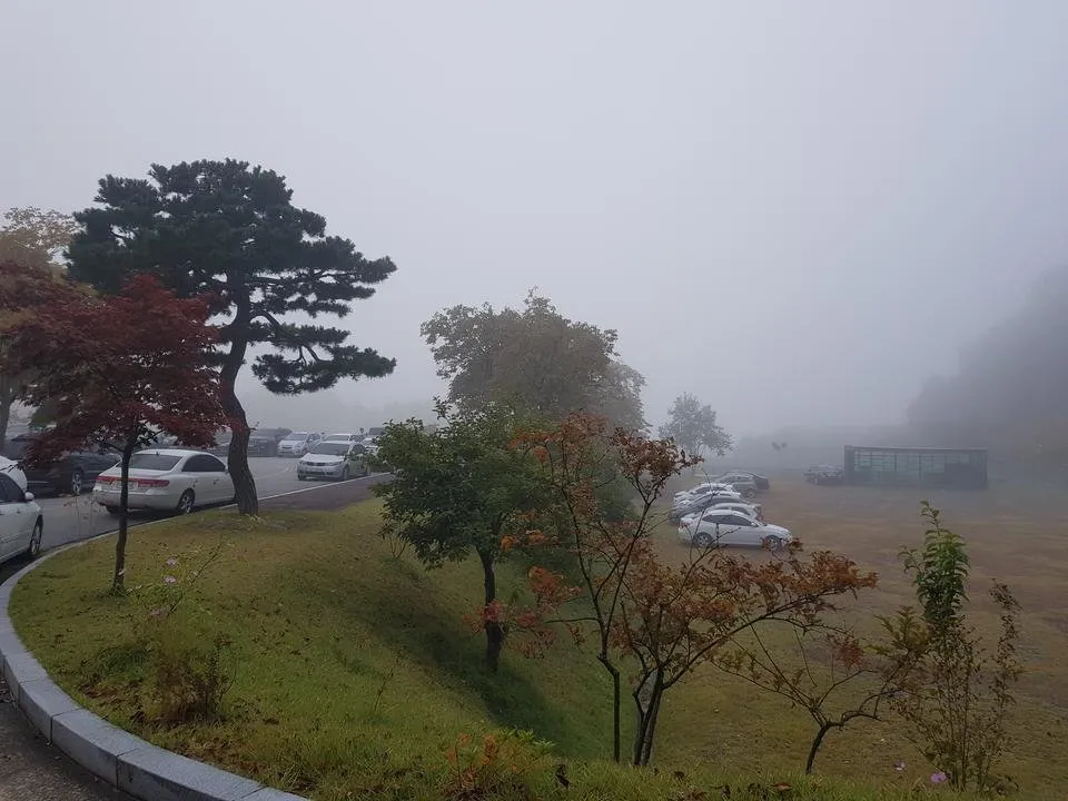 20191016_080701.jpg