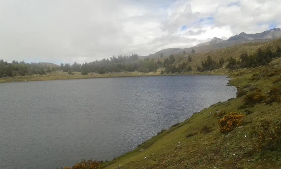 20140913_110816.jpg