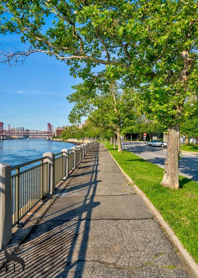 1 Wednesday Walk Roosevelt Island -4.jpg