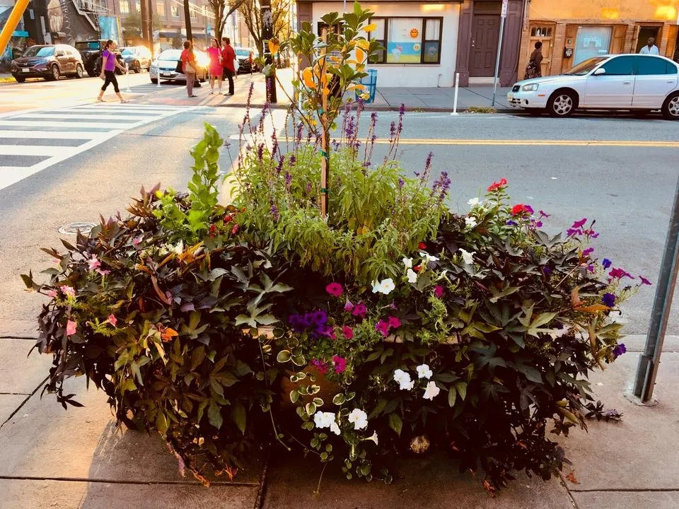 Bathtub Planter.jpg