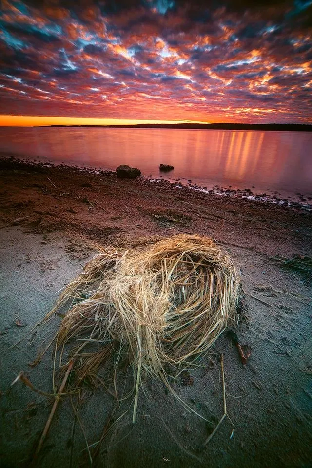 Evening-at-curonian-gulf1.jpg
