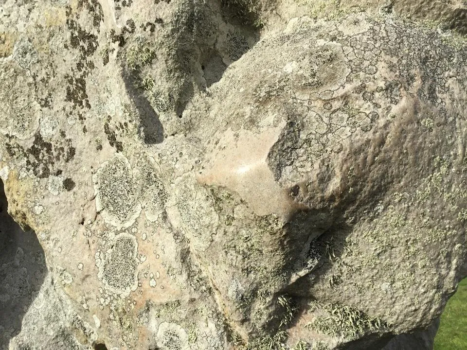 ABAA7D3A-DFCA-4832-BAF9-7D68206F660B.jpeg