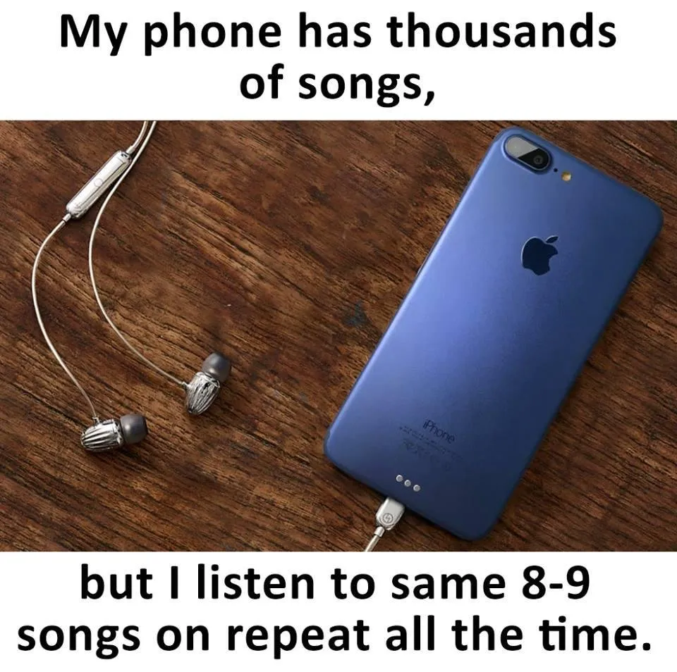 295.jpg