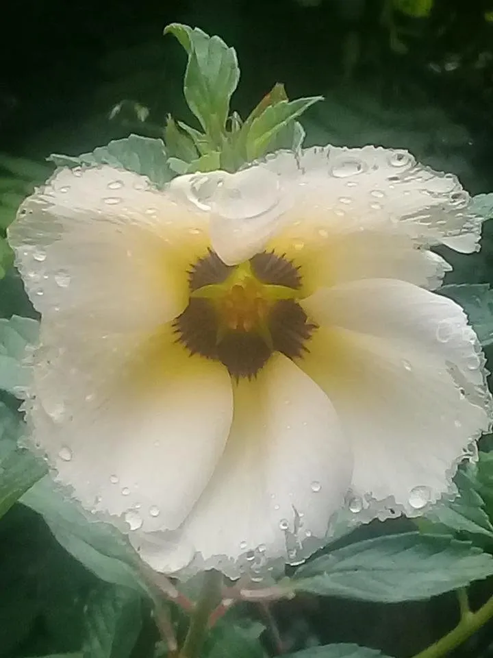 20180903_175628.jpg