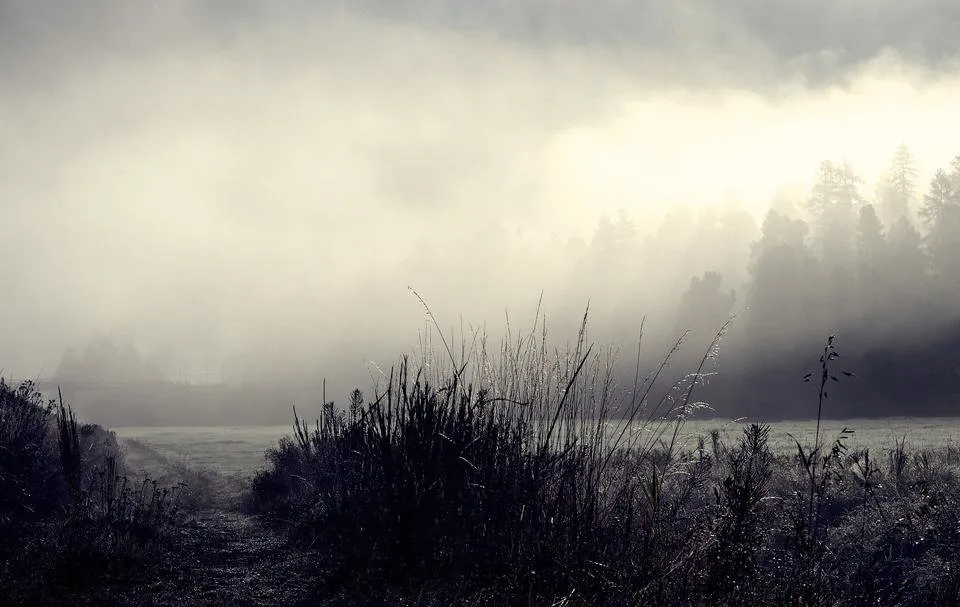morning-mist-3713937_1920.jpg