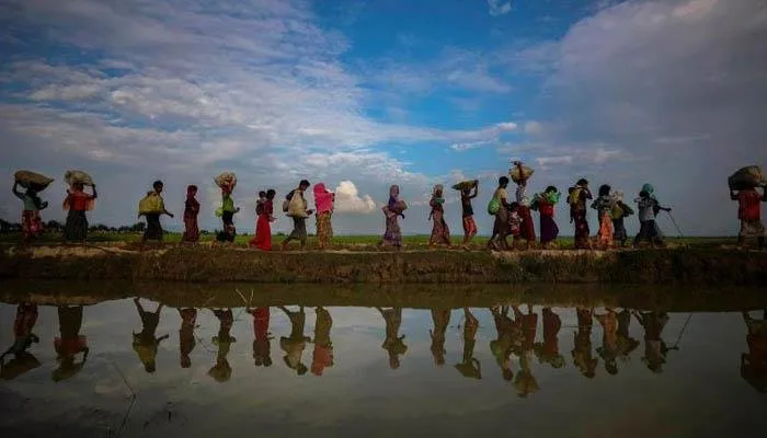 rohingaa-5pg-5bd8199f2d8c5.jpg