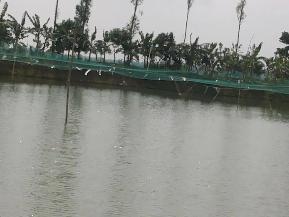 20180710_094442.jpg