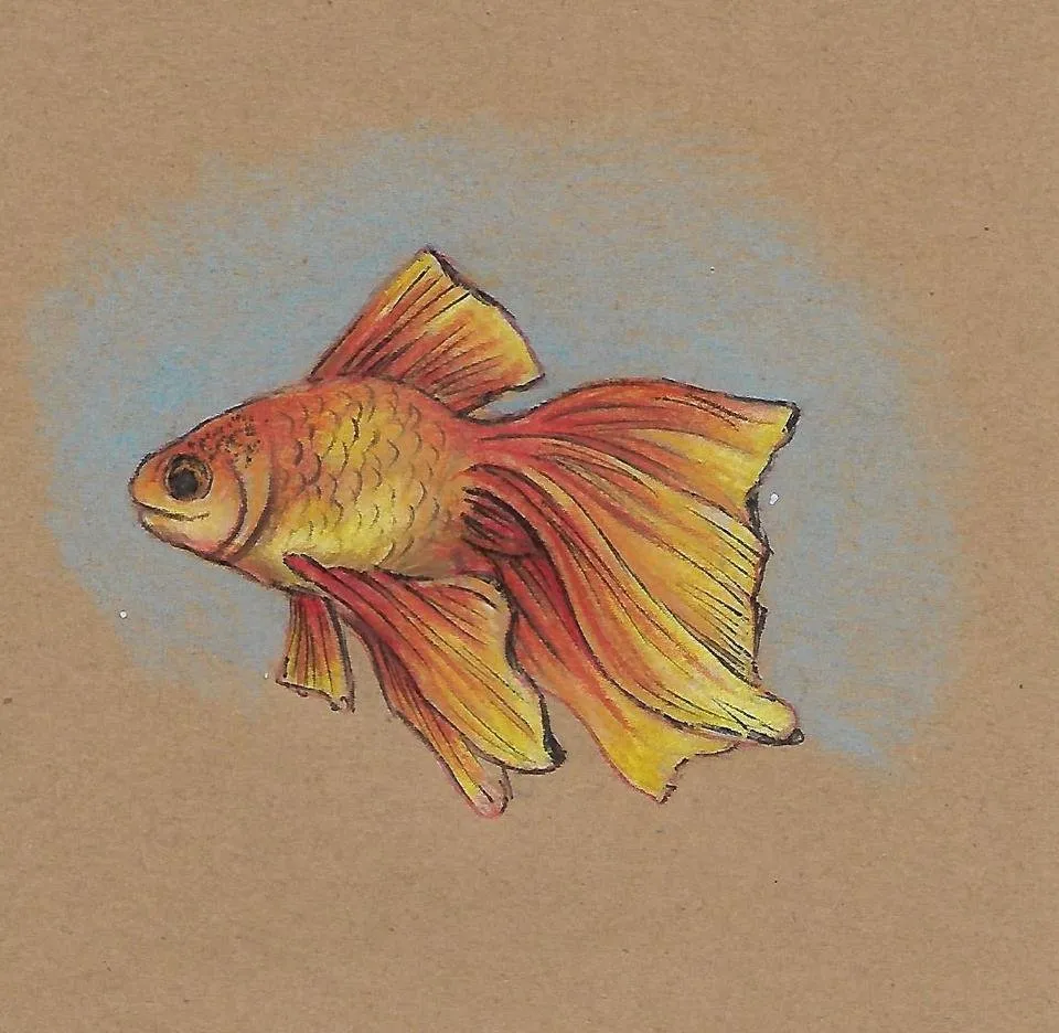 Scan_0008.jpg