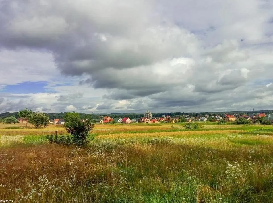 birky landscape 1.jpg