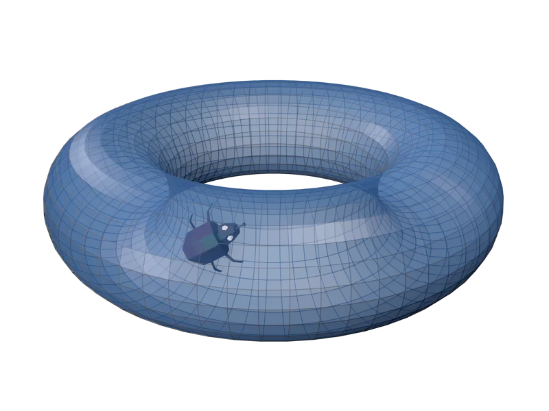 torus bug.png