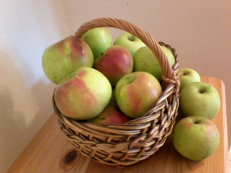 IMG_20120104_075118.jpg