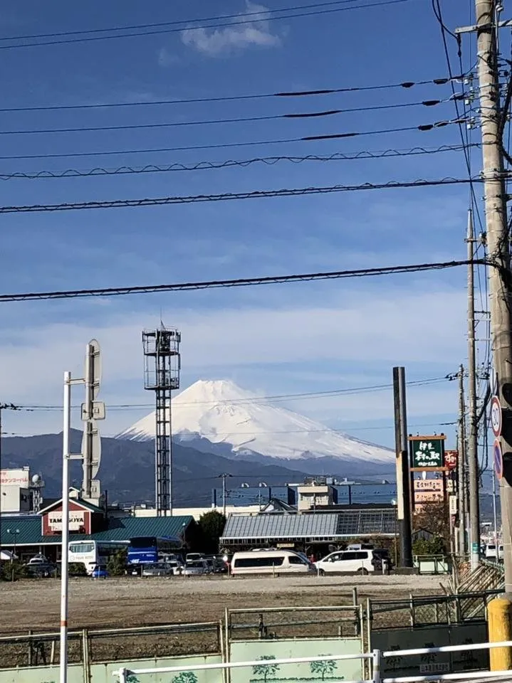 S__89038853.jpg