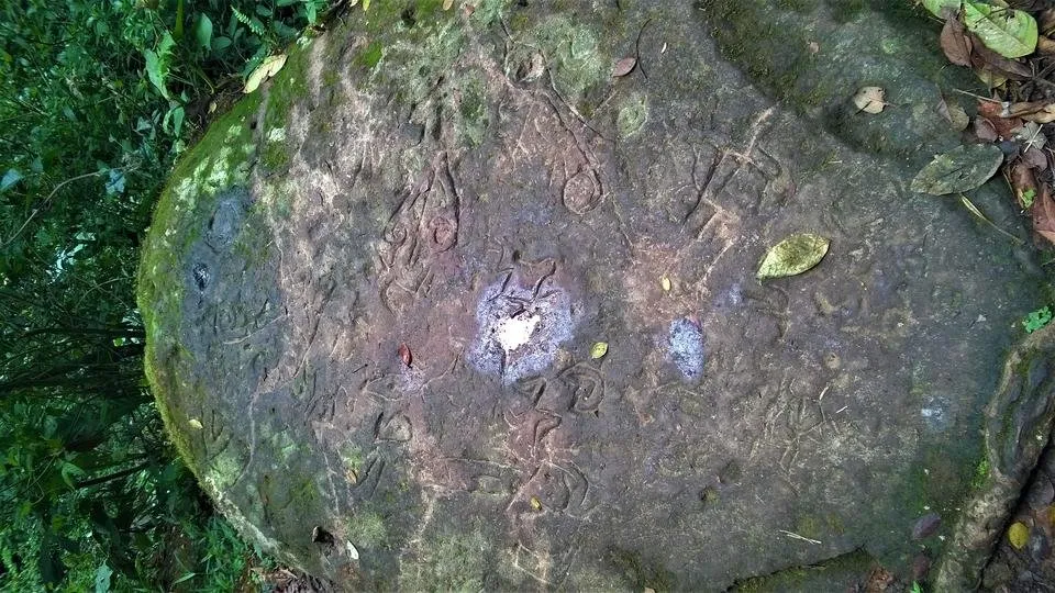 WP_20180505_022.jpg