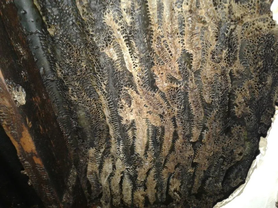 20190318_203451.jpg