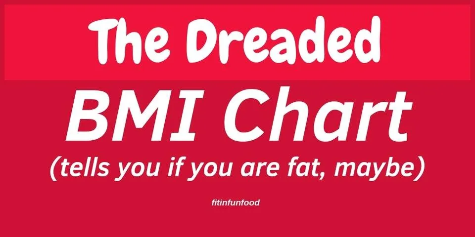 bmi chart fitinfunfood.jpg