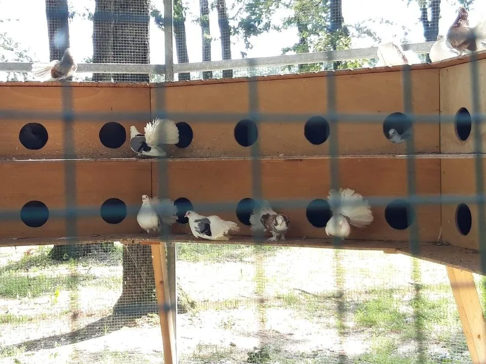 IMG-20190706-WA0005.jpg