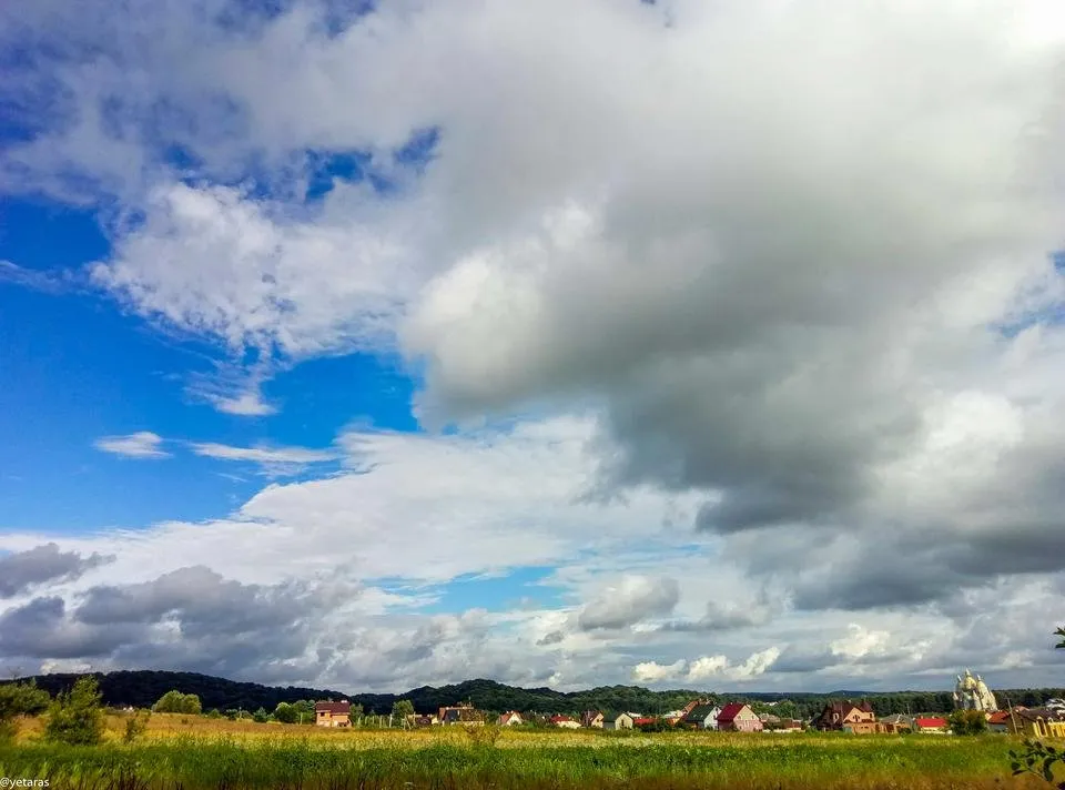 birky landscape 3.jpg