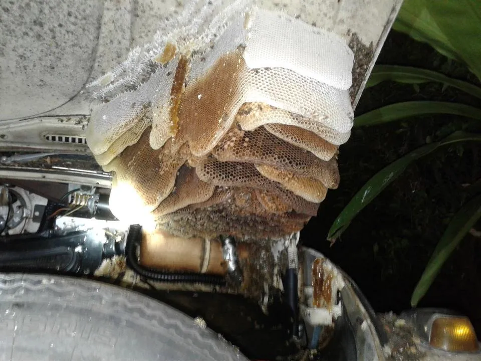 20181022_202915.jpg