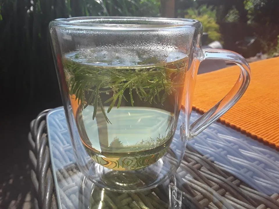 20180527_101922.jpg