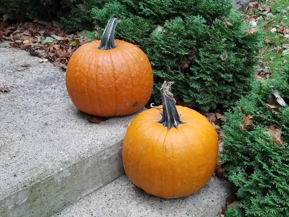 20181019_155954.jpg