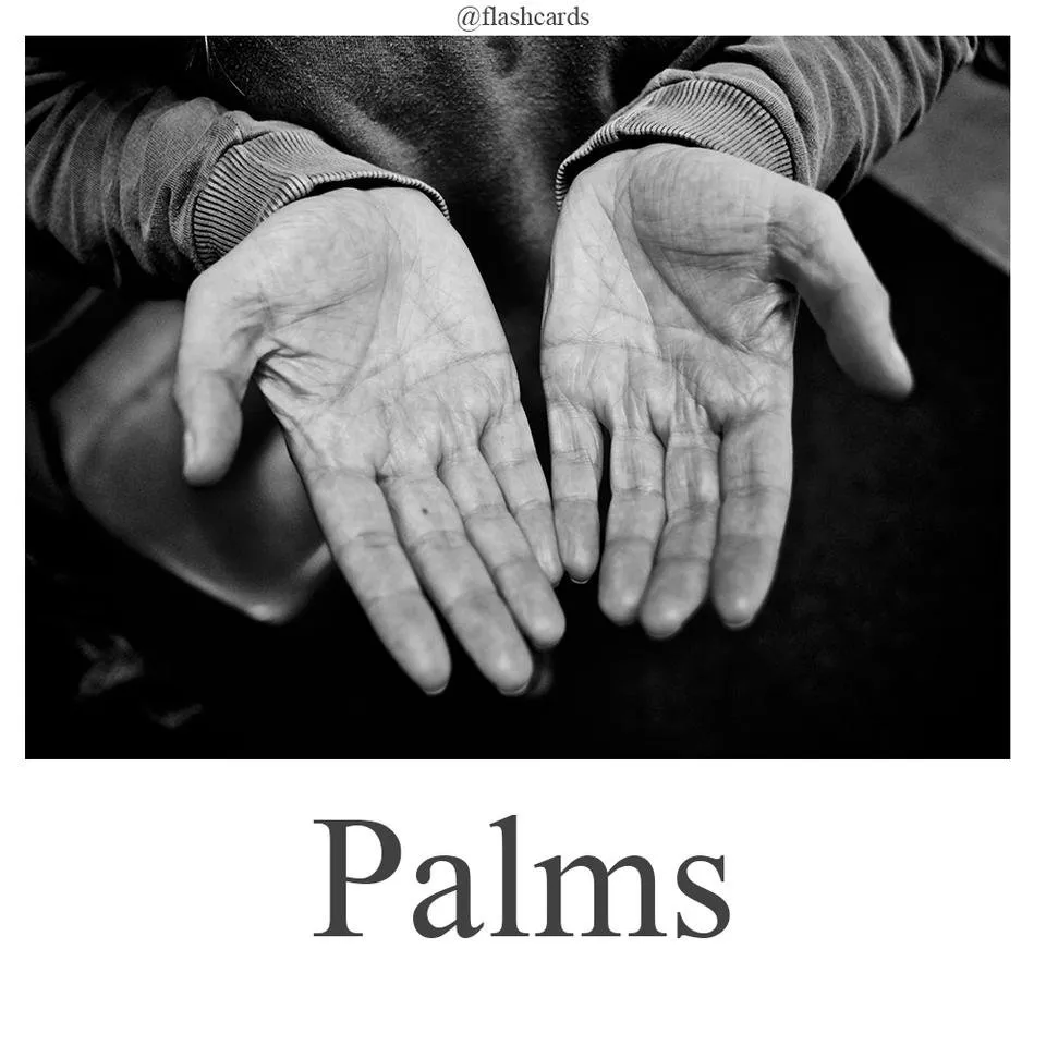 Palms.jpg