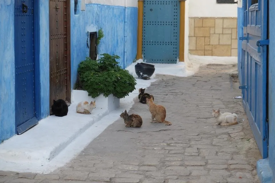 DSCF3395.JPG