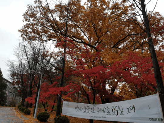 20181108_204504.gif
