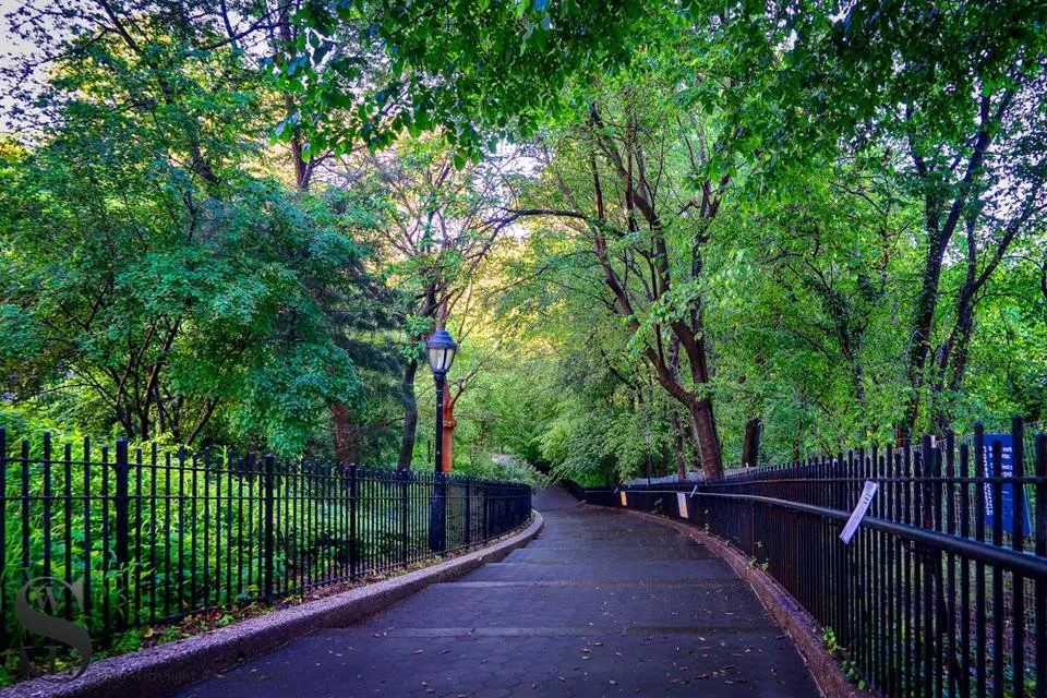 1 Wednesday Walk Riverside park west.jpg