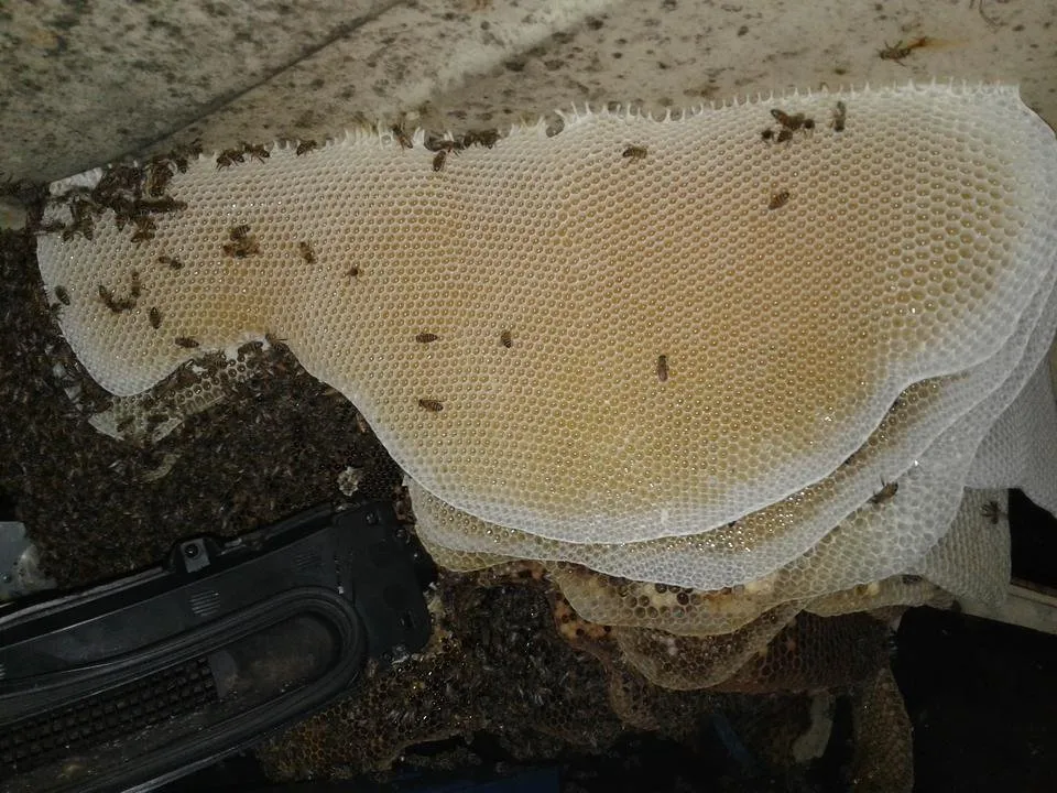 20181022_201251.jpg