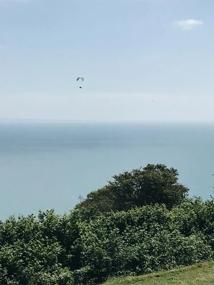 JPEG image-6DCE7F4411E8-18.jpeg