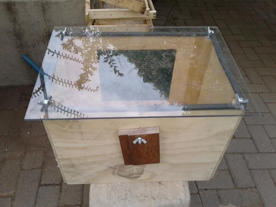 20180915_164415.jpg