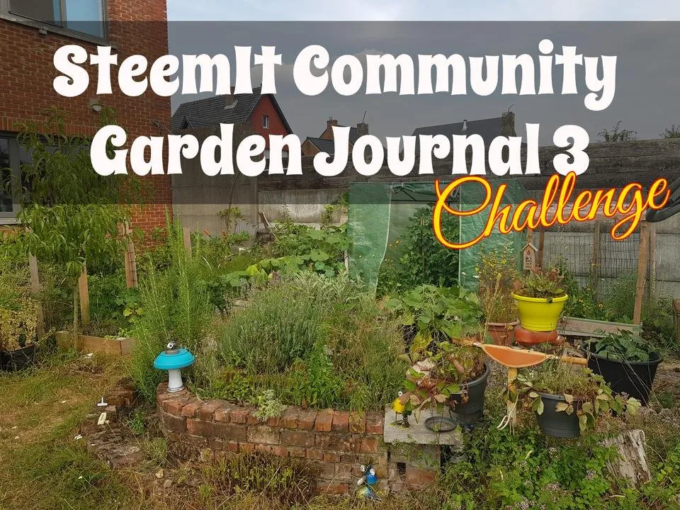 steemit_community_garden_challenge.jpg