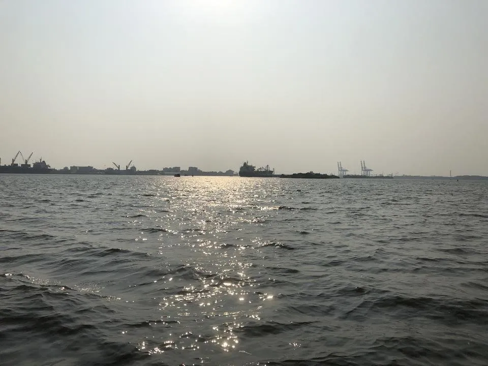 IMG_4301.JPG