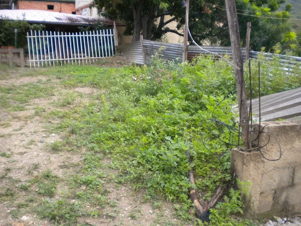 DSCN3704.JPG