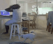 tenor (2).gif