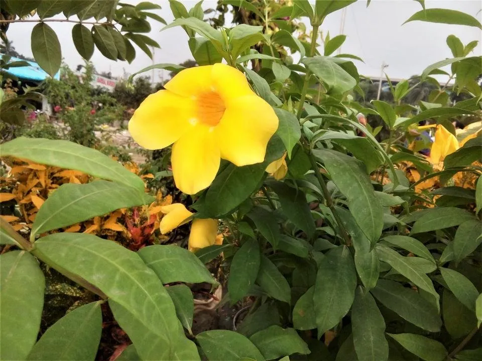 IMG_20180818_175859.jpg