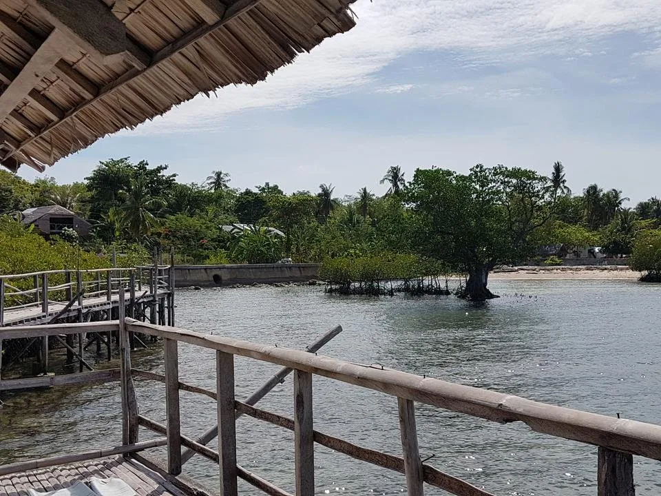 20180614_142453.jpg