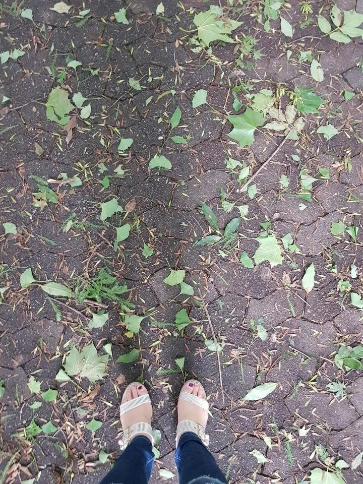 20190908_164652.jpg