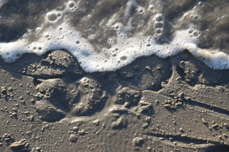 0P2A9385.JPG