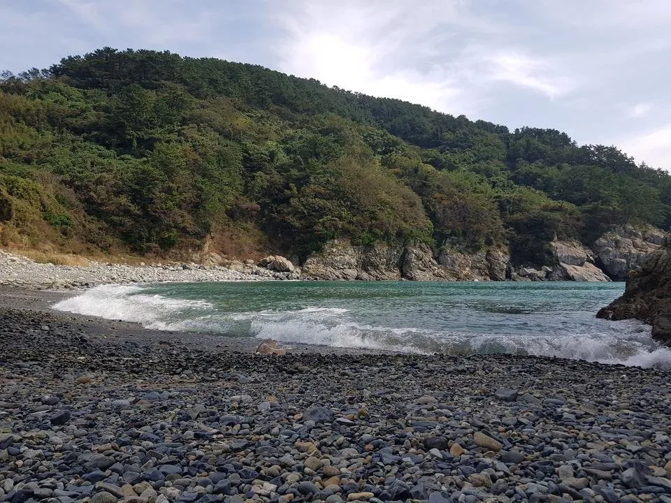 20191006_122615.jpg