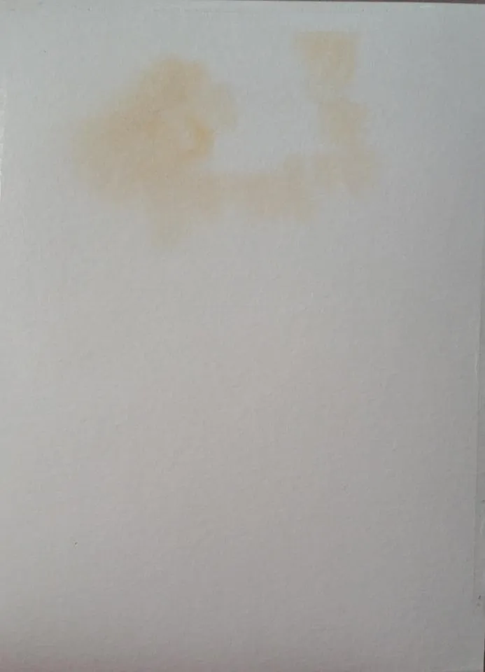 20180730_110140.jpg